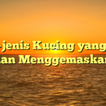 Jenis-jenis Kucing yang Lucu dan Menggemaskan