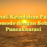 Kenali Keindahan Pulau Komodo dengan Sobat Puncaknarasi