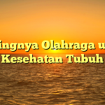 Pentingnya Olahraga untuk Kesehatan Tubuh