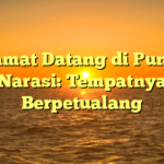 Selamat Datang di Puncak Narasi: Tempatnya Berpetualang