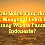 Siapkah Sobat Puncaknarasi untuk Mengenal Lebih Dekat Tentang Wisata Pantai di Indonesia?
