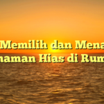 Tips Memilih dan Menanam Tanaman Hias di Rumah