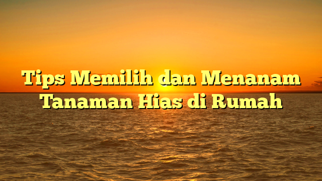 Tips Memilih dan Menanam Tanaman Hias di Rumah